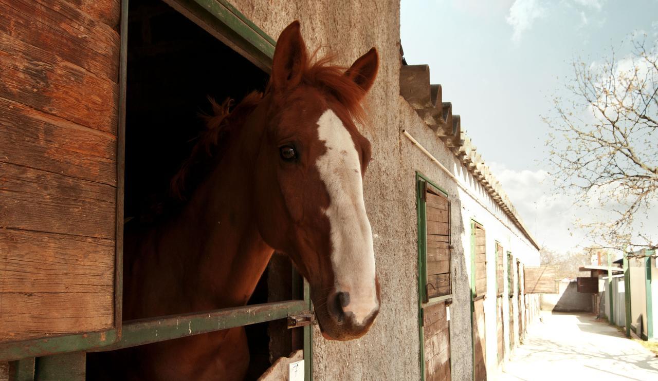 Agriturismo Fasano Cassano delle Murge Esterno foto