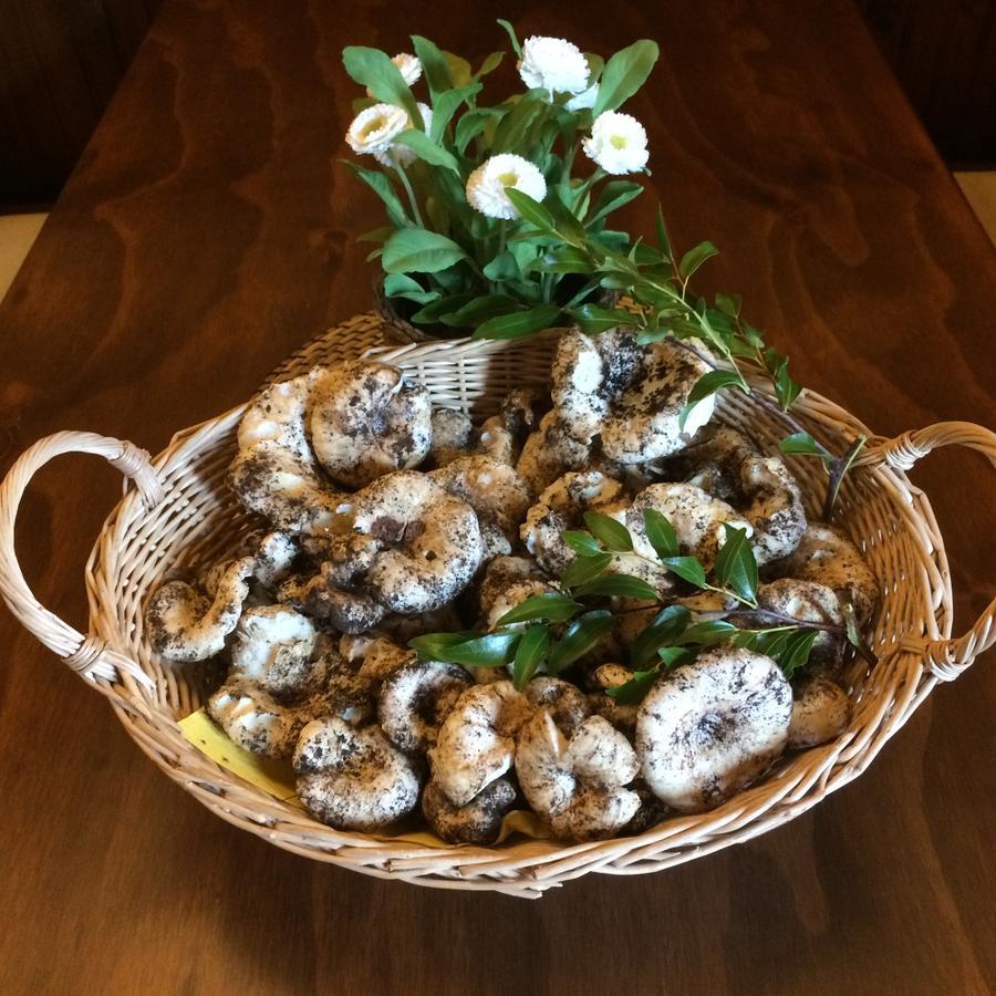 Agriturismo Fasano Cassano delle Murge Esterno foto