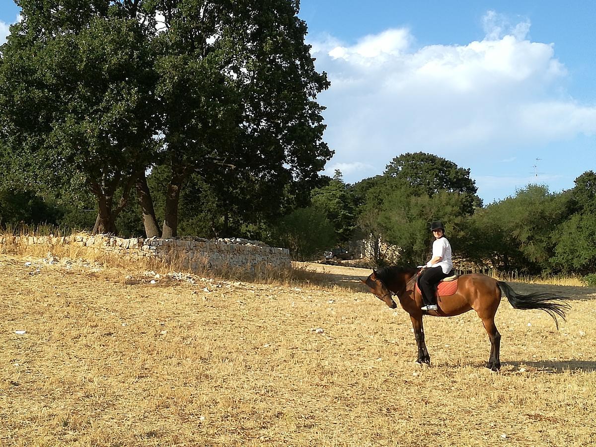 Agriturismo Fasano Cassano delle Murge Esterno foto